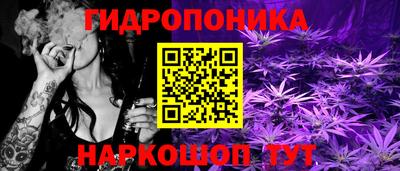 spice Кулебаки